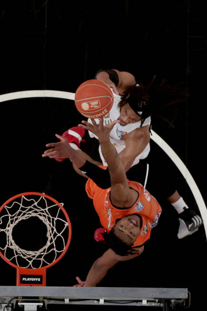 无疑展示了 无疑展示了