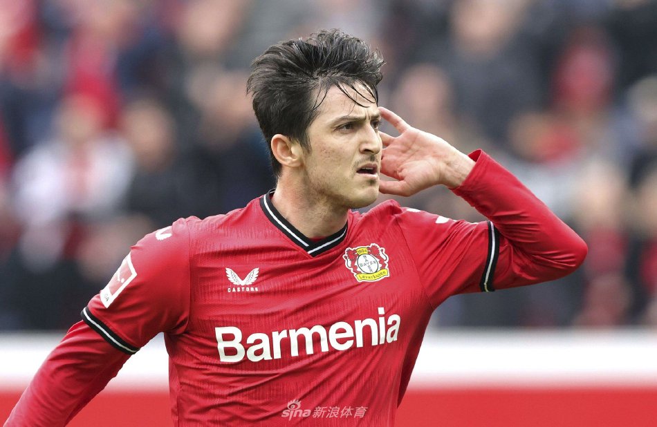 展现出极高 展现出极高